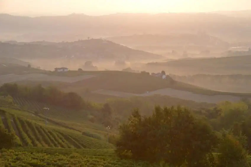 Piemonte guide – en kulinarisk rundrejse i den smukke norditalienske region